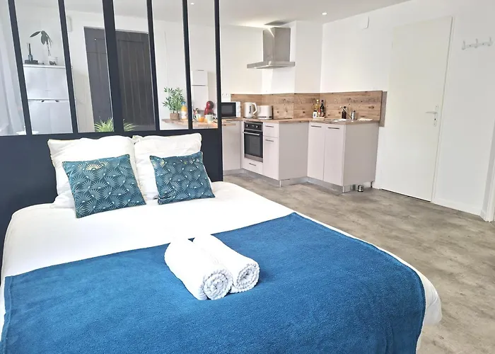 Au Petit Palois - Parking Prive - 5min Centre - 2personnes Apartment Pau