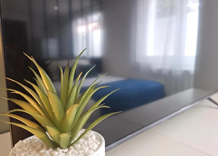 Apartment Au Petit Palois - Parking Prive - 5min Centre - 2personnes