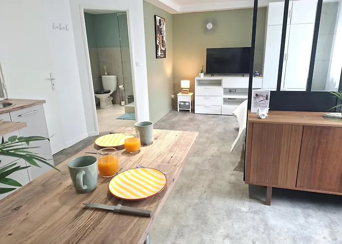 Apartment Au Petit Palois - Parking Prive - 5min Centre - 2personnes Pau